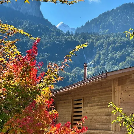 My Διαμέρισμα