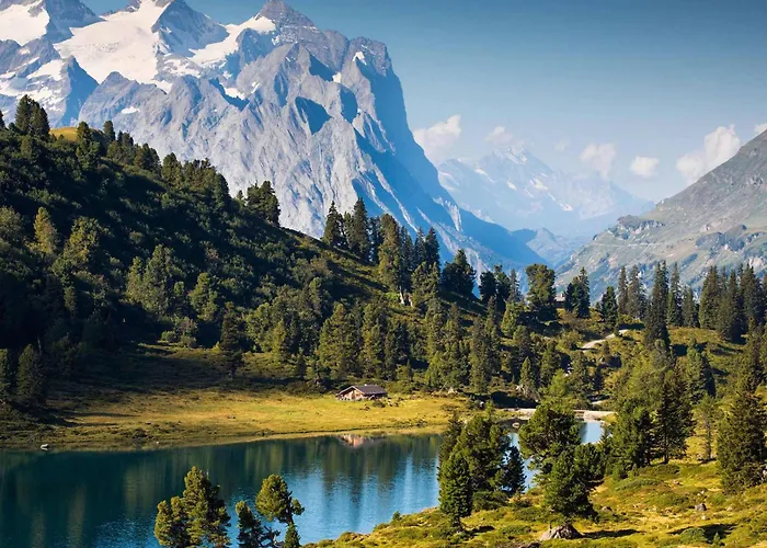 Διαμέρισμα My