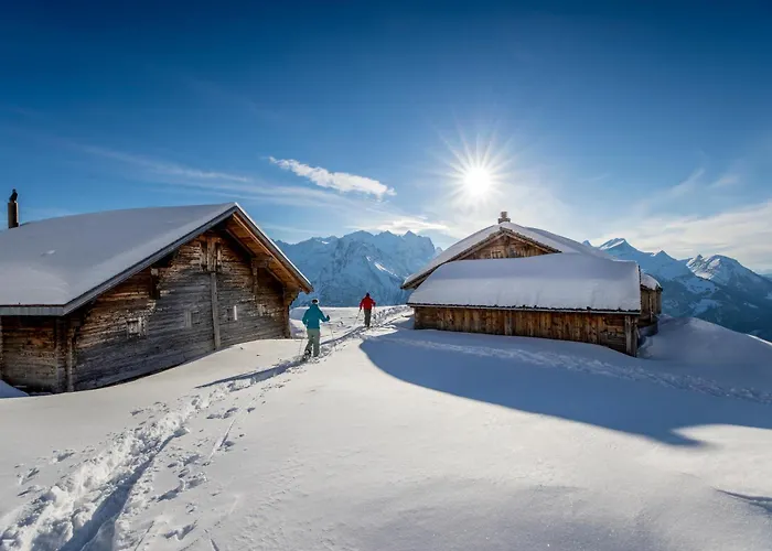 Апартаменты My